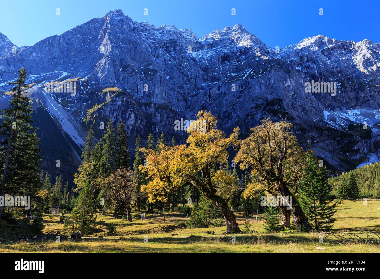 ahornboden-austria-autumn-hi-res-stock-photography-and-images-alamy