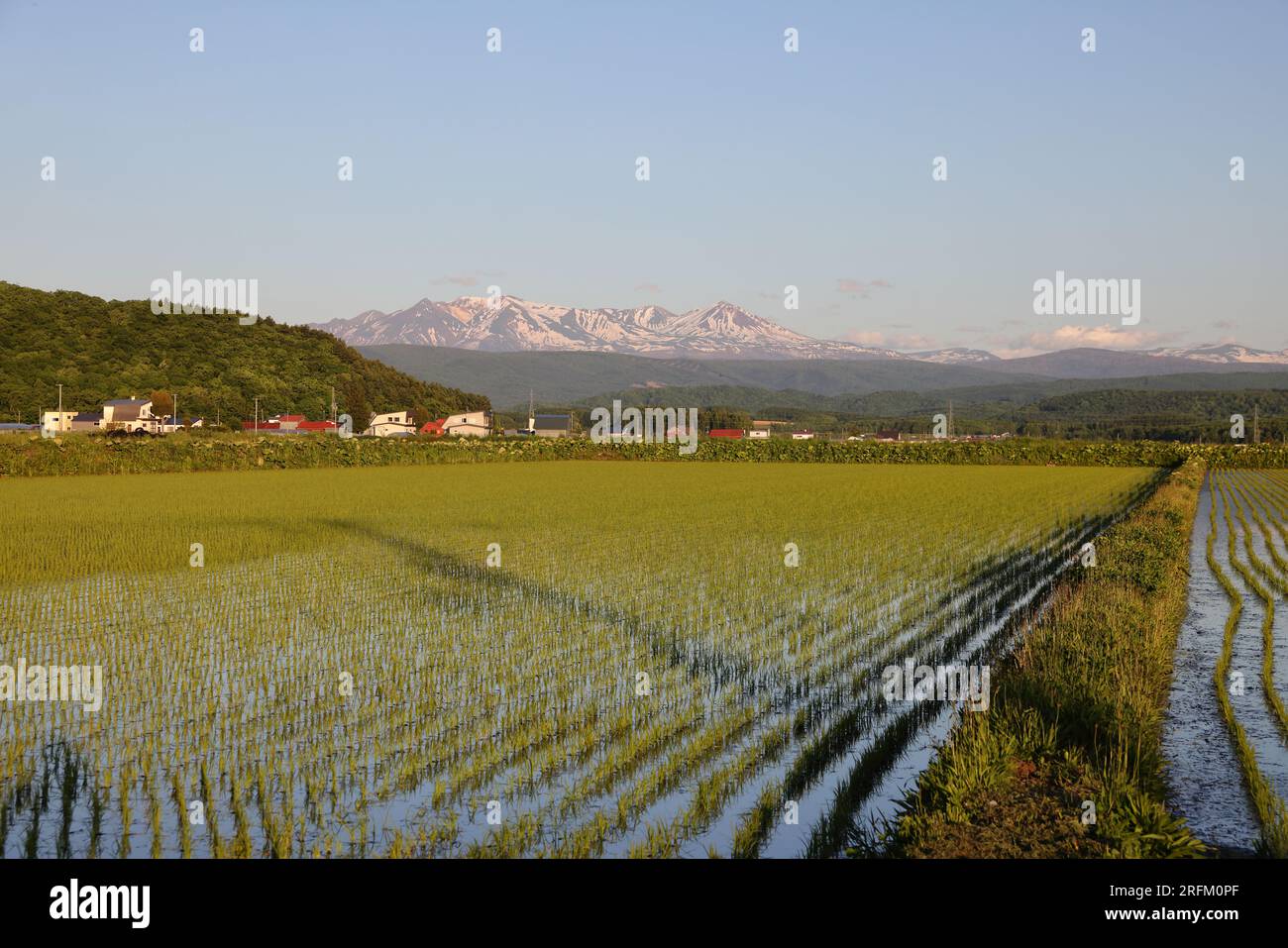 Rice fields at Asahikawa overlooking the mountains of Daisetsuzan ...