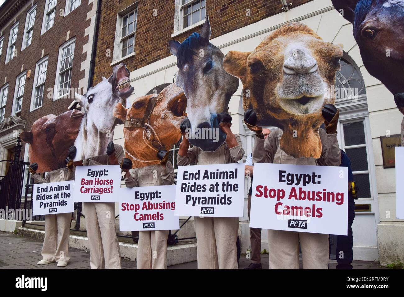 Egyptian authorities investigating tourist incident involving donkey abuse