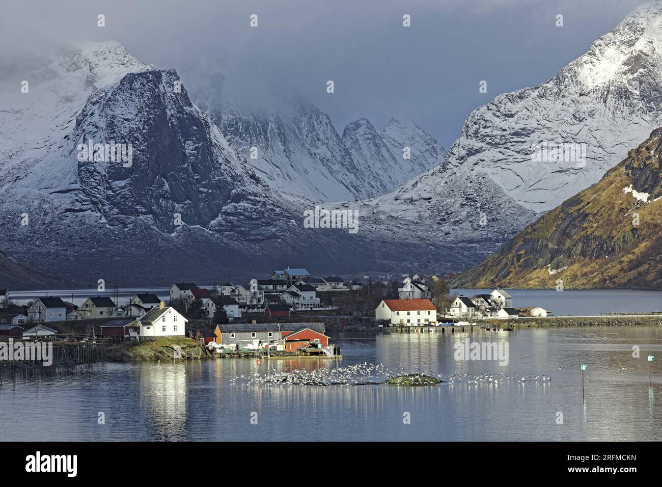 Norvège, Iles Lofoten, Moskenes, site portuaire de Reine, Reinefjorden ...