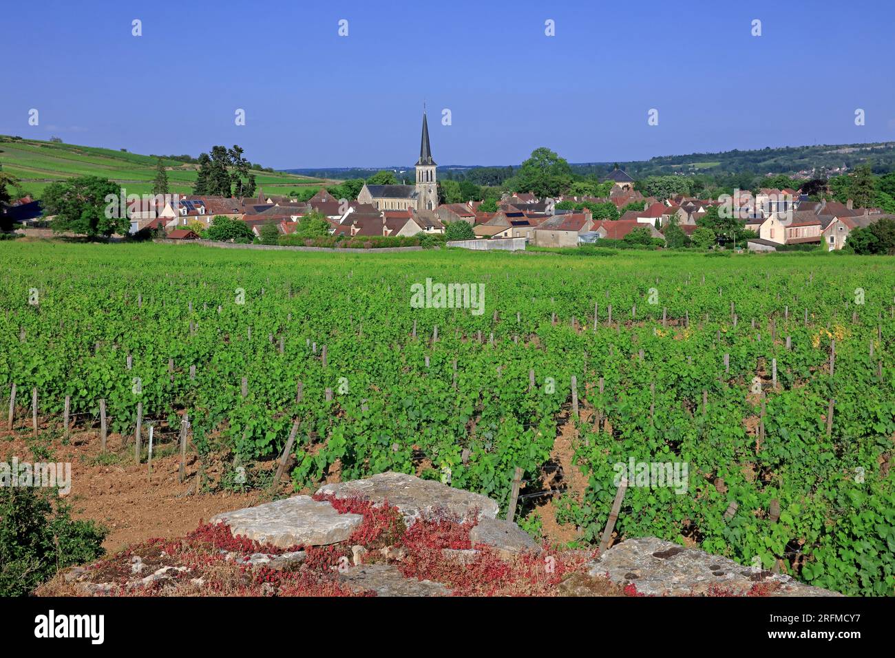 France, Côte-d'Or, Santenay, the village as seen from the famous vineyard Stock Photo