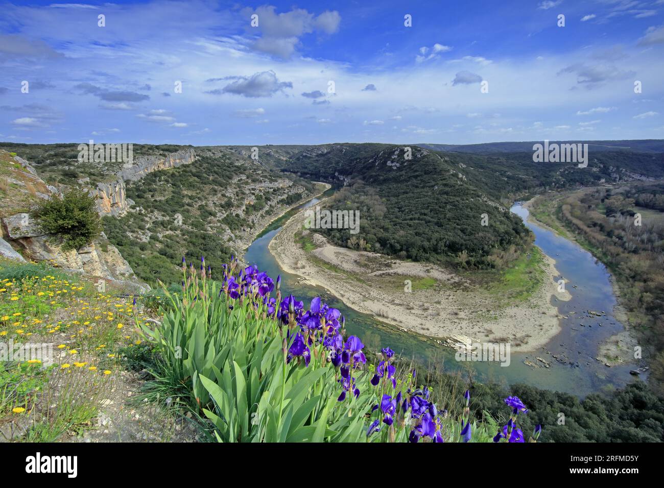 France, Gard department, Sainte-Anastasie, Russan the gorges of the Gardon, the meander since the Castellas. Iris in bloom in the foreground. Stock Photo