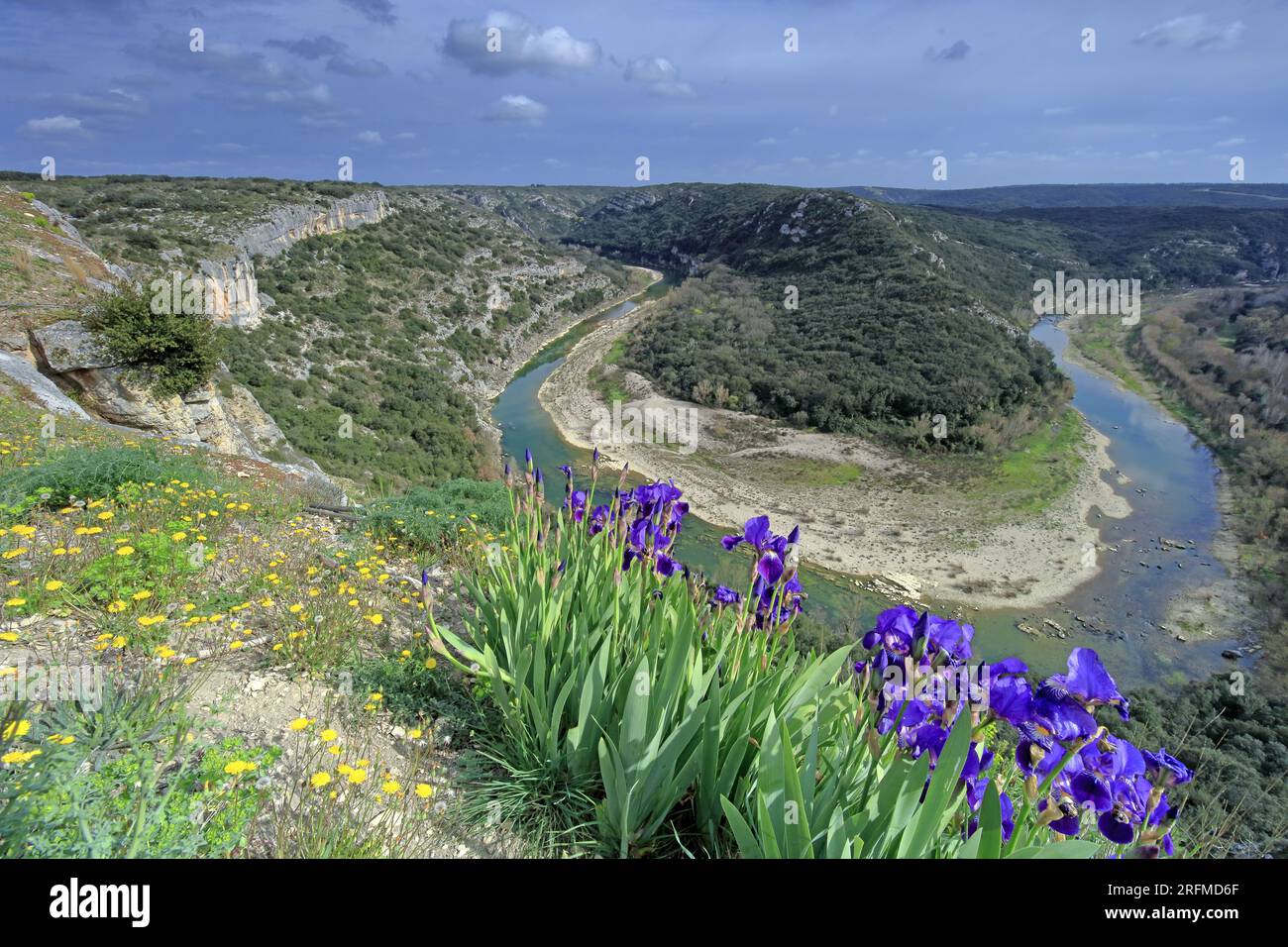 France, Gard department, Sainte-Anastasie, Russan the gorges of the Gardon, the meander since the Castellas, Iris in flower foreground Stock Photo