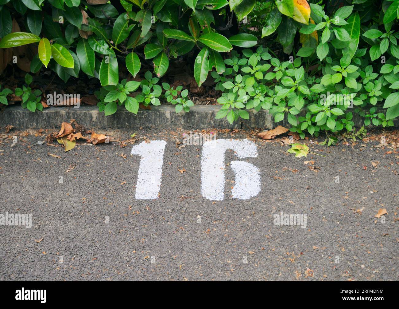 NinjaTrader Chart Of The Day RF Micro Devices Moving In, 52 OFF