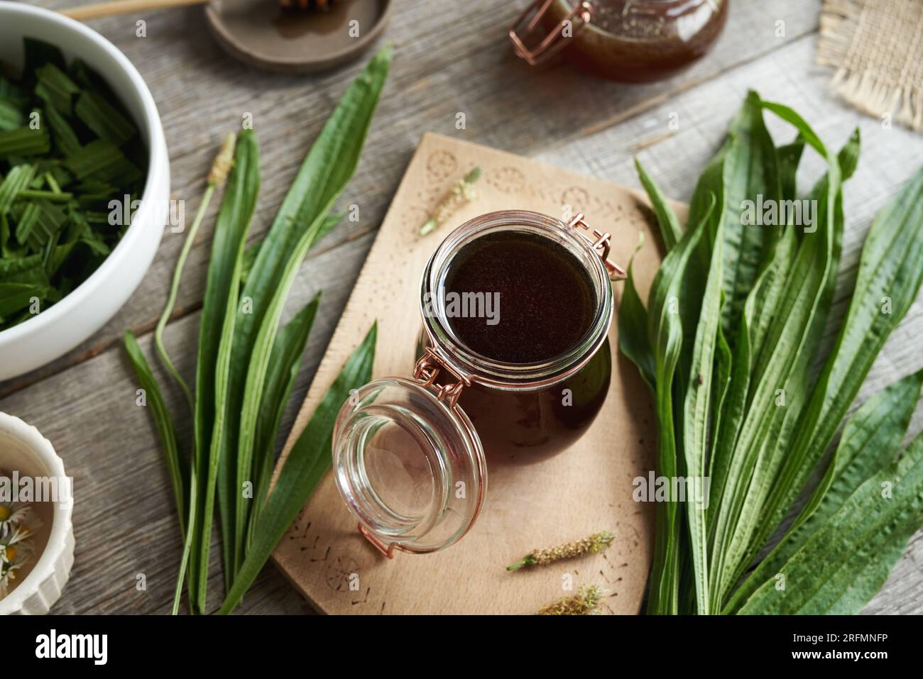 A jar of homemade ribwort plantain syrup for cough Stock Photo Alamy