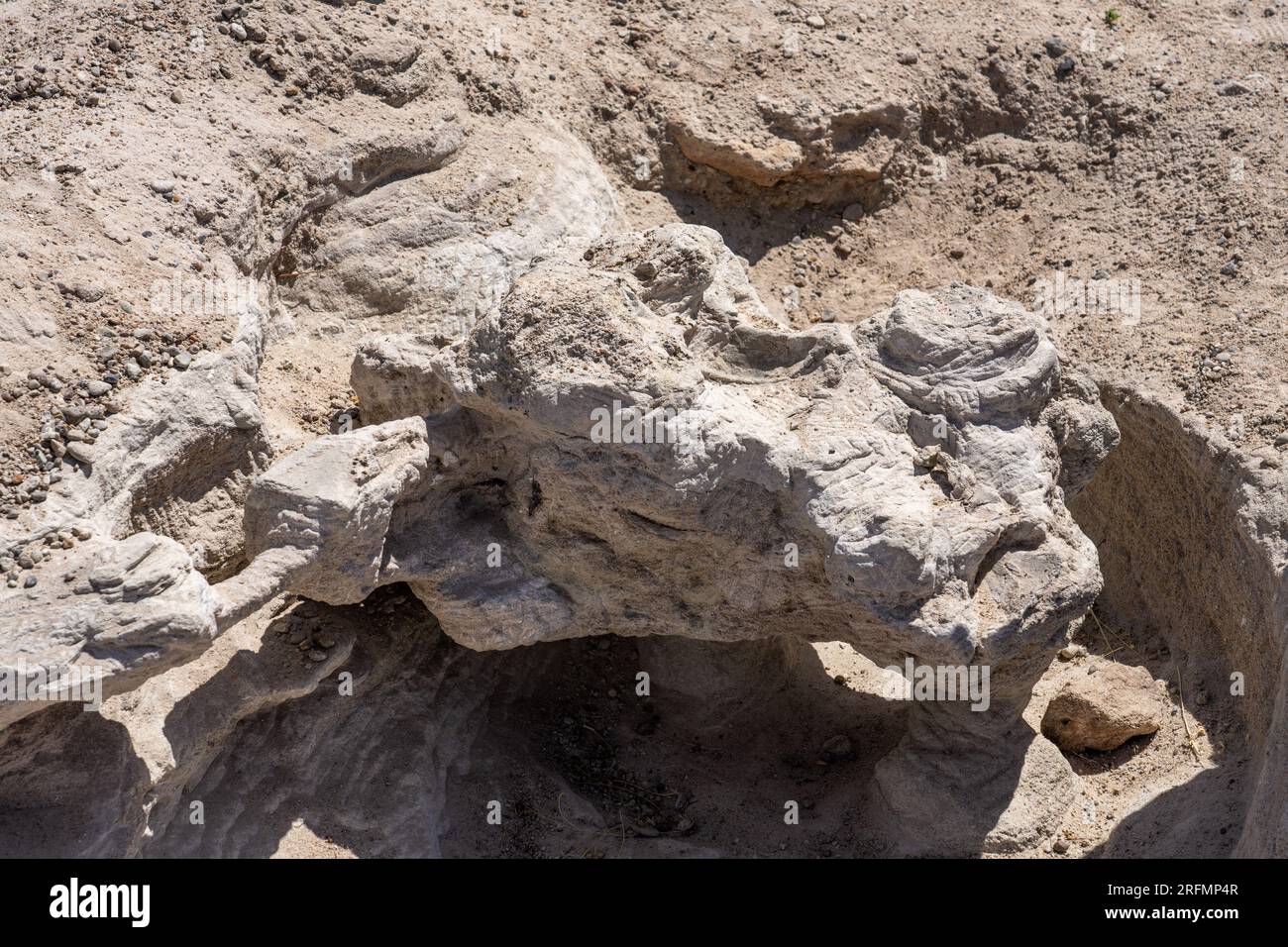 Hanksville burpee dinosaur quarry hi-res stock photography and images - Alamy