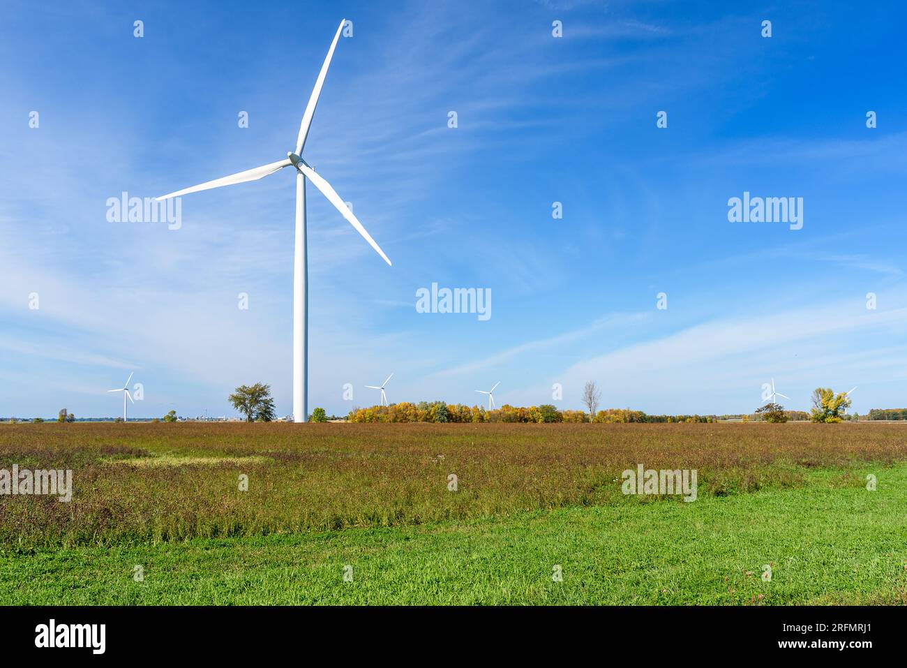 Wind turbines in a grassy field under blue sky in autumn Stock Photo