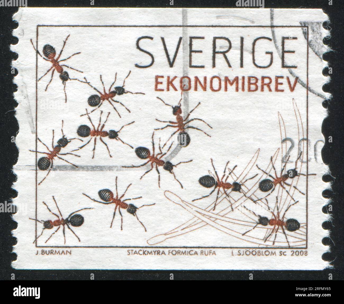 SWEDEN - CIRCA 2008: stamp printed by Sweden, shows Ants, circa 2008 Stock Photo