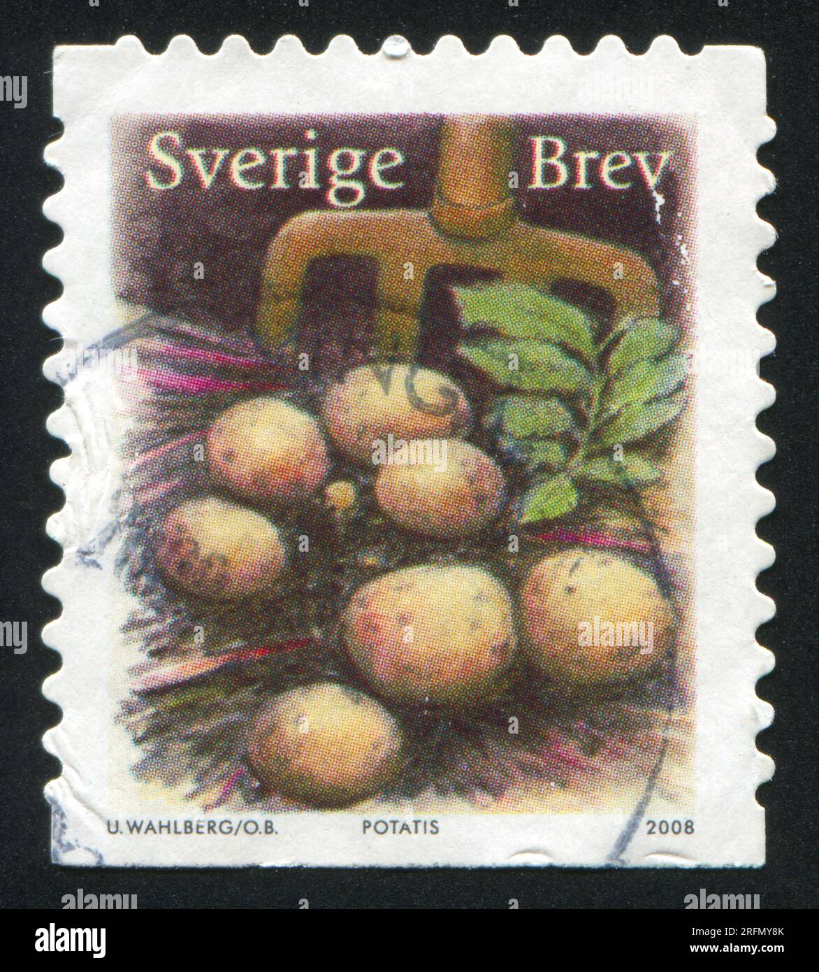 SWEDEN - CIRCA 2008: stamp printed by Sweden, shows Potato, circa 2008 Stock Photo