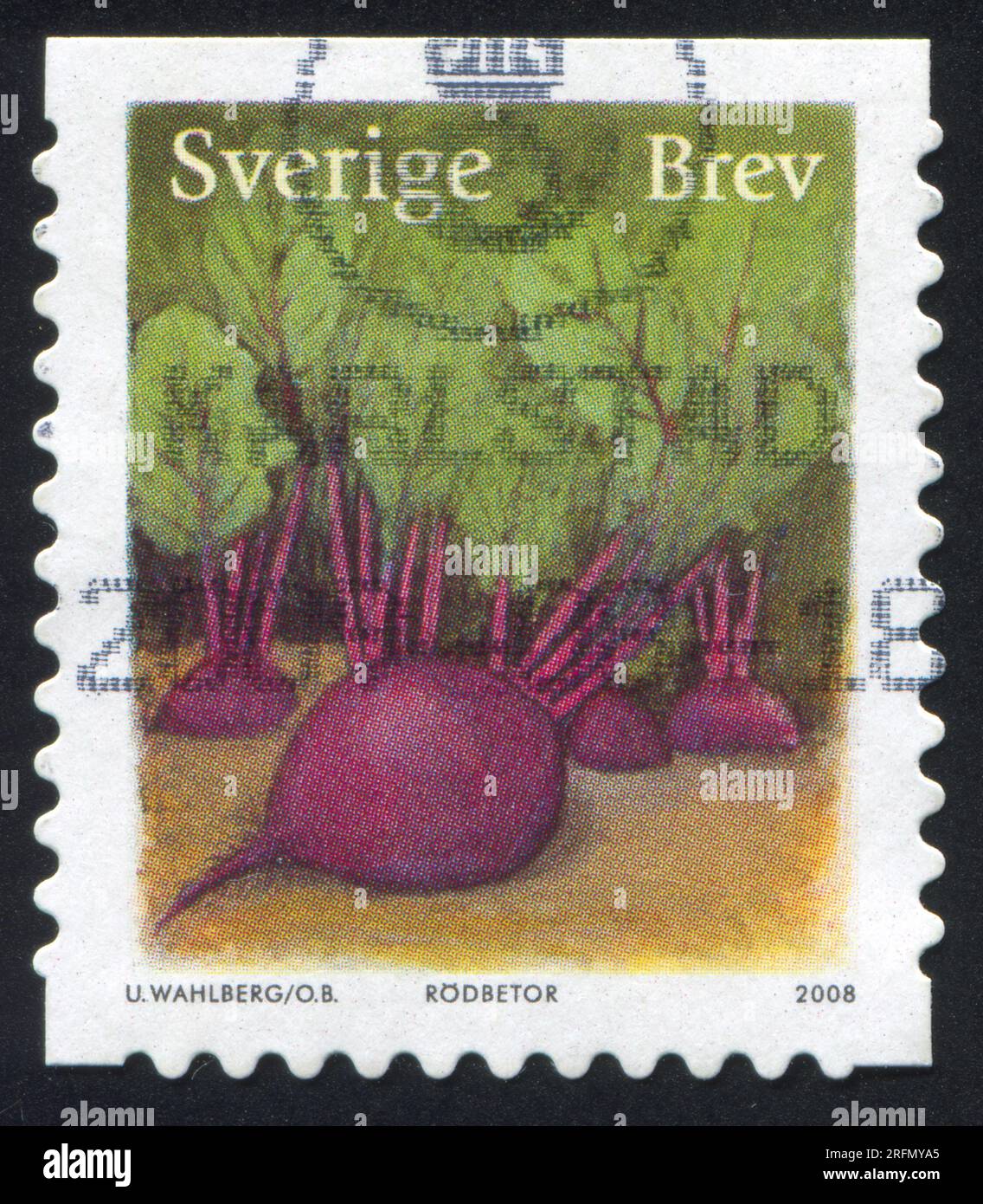 SWEDEN - CIRCA 2008: stamp printed by Sweden, shows Beet, circa 2008 Stock Photo