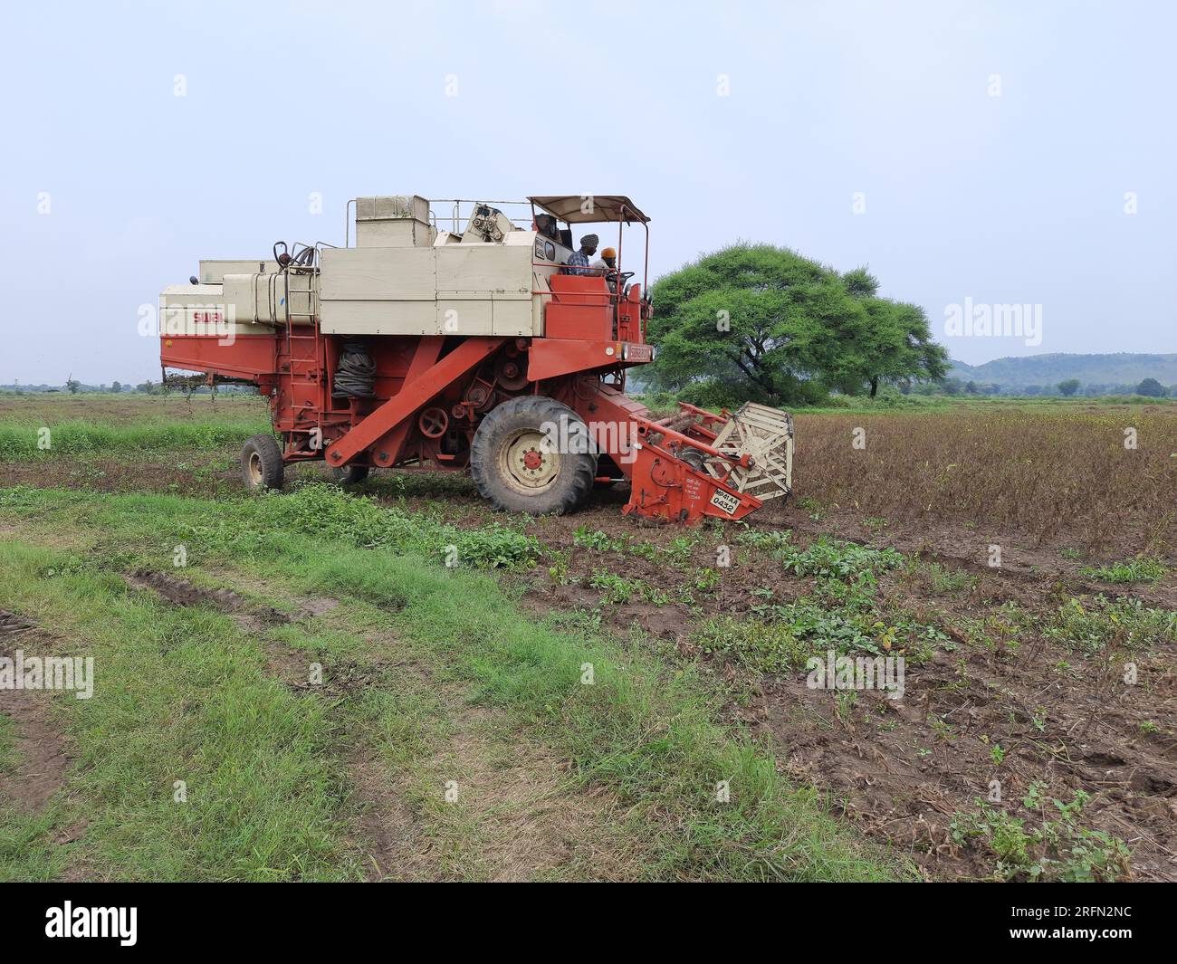 Combines harvester harvesting soybean on a bright day. Soybean cutting