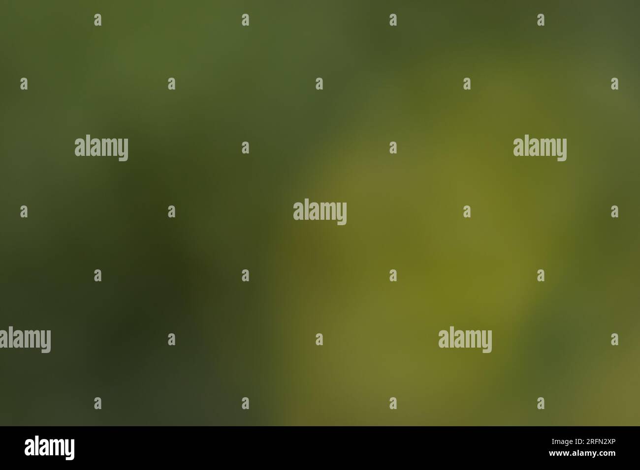 Completely blurred background in the natural colors green, light green