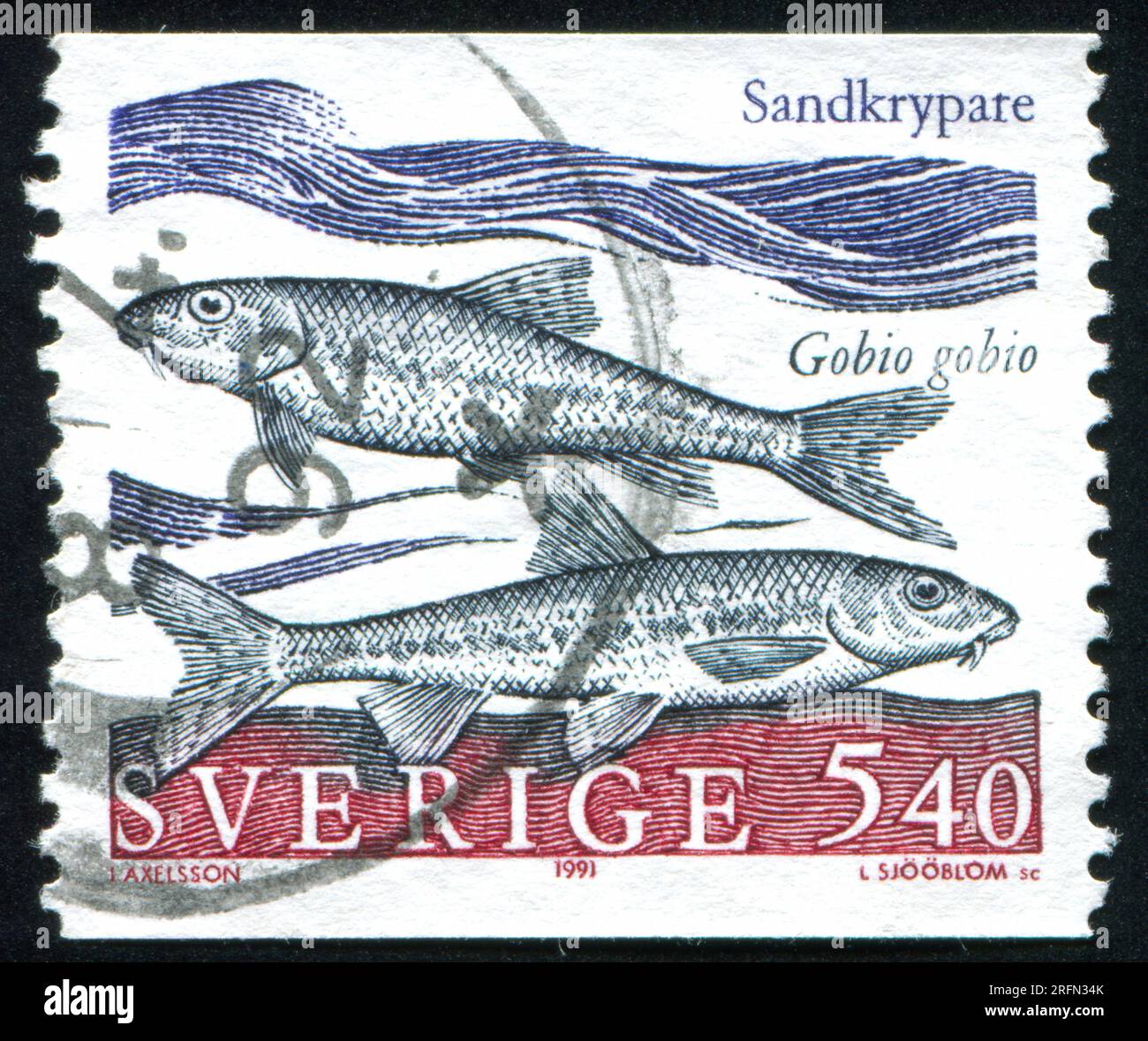 SWEDEN - CIRCA 1991: stamp printed by Sweden, shows gudgeon, circa 1991 Stock Photo