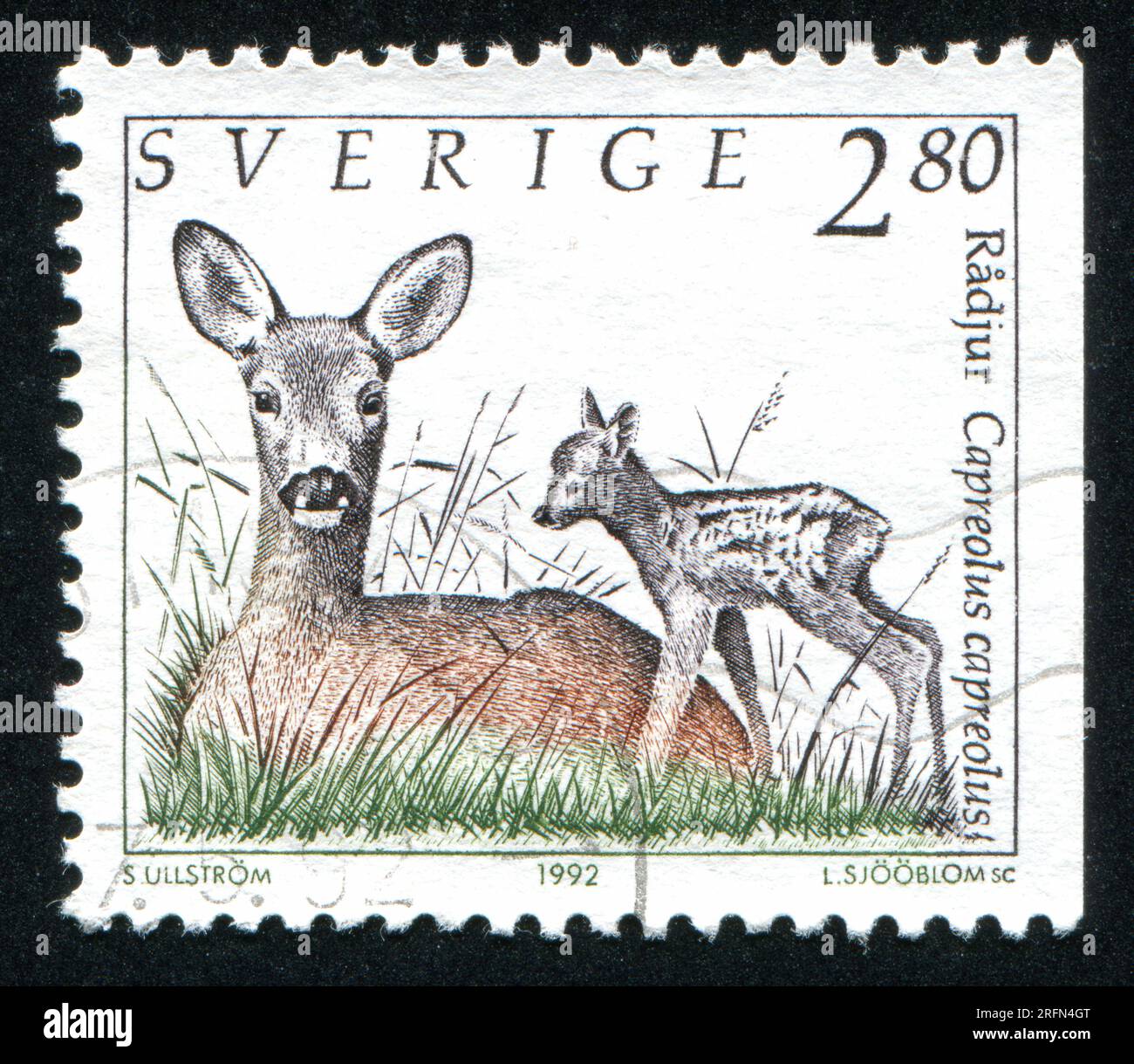Sweden Roe SWEDEN - CIRCA 1992: stamp printed by Sweden, shows Roe deer with fawn ...