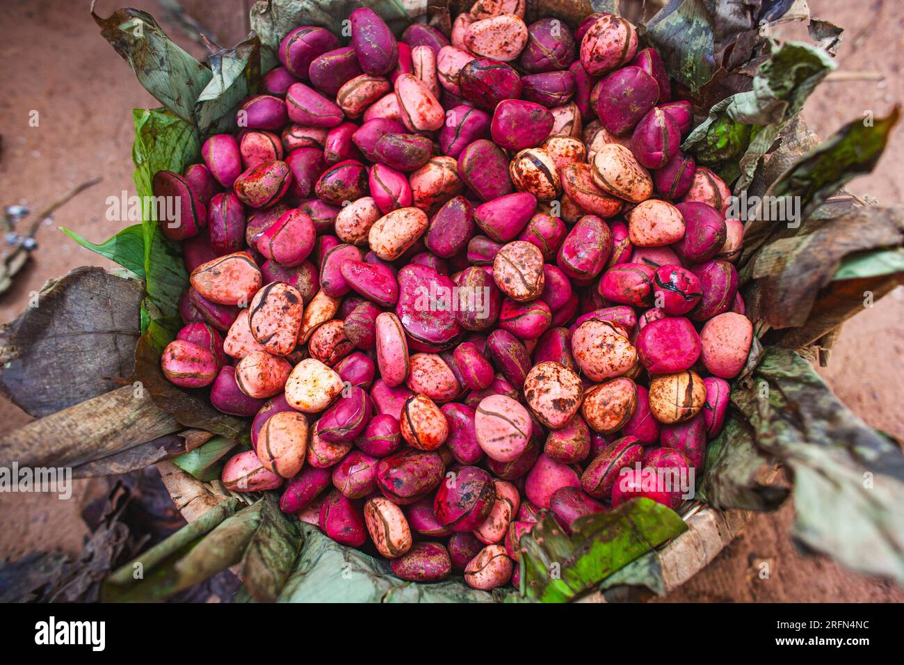 Kola nuts in an African market in Mali ,West Africa Stock Photo