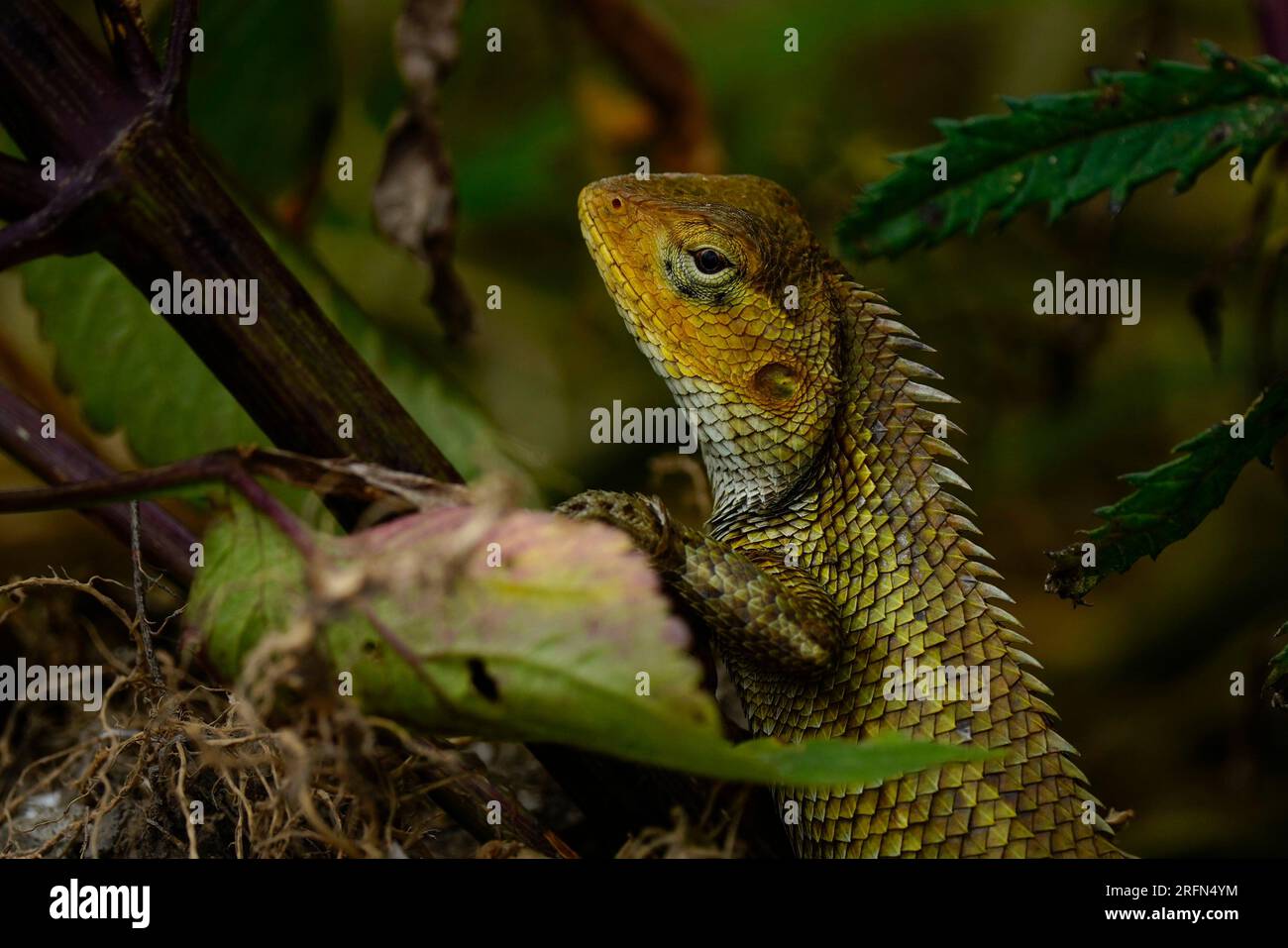 Friday 4th august 2023 hi-res stock photography and images - Alamy