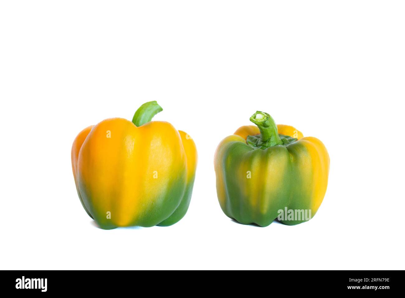 Capsicum annuum on white background. Two yellow peppers on white background. Stock Photo