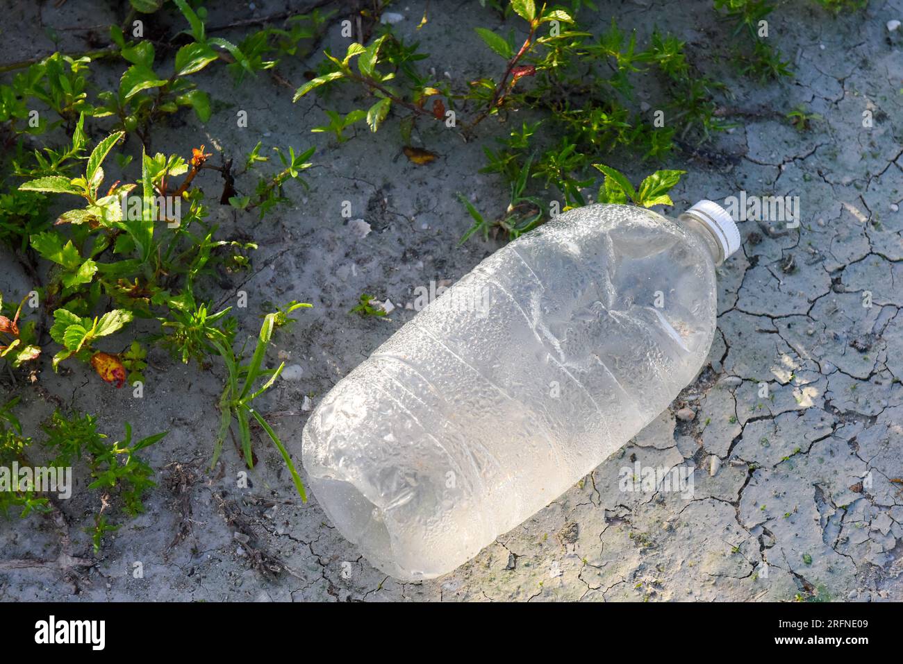 Plastic bottle thrown on the ground Stock Photo Alamy