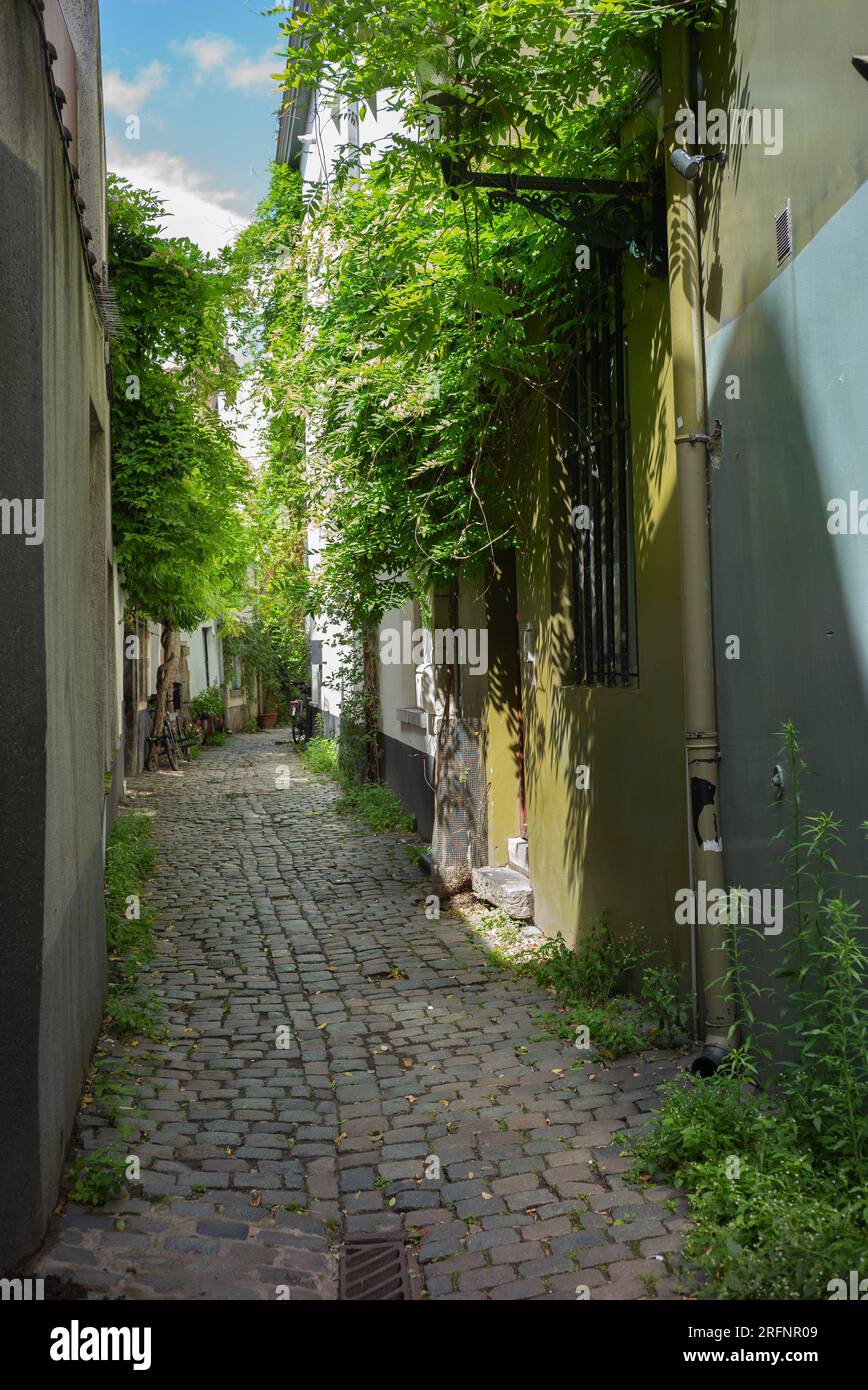 view of rue de la Cigognea is an alley in the city of Brussels 70 meters long and has become a place visited by tourists. 2 august 2023 belgium Stock Photo