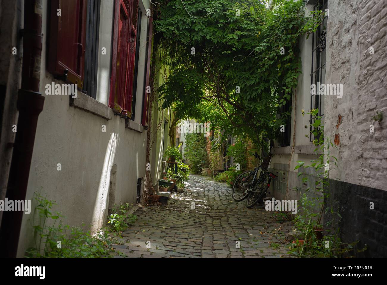 view of rue de la Cigognea is an alley in the city of Brussels 70 meters long and has become a place visited by tourists. 2 august 2023 belgium Stock Photo