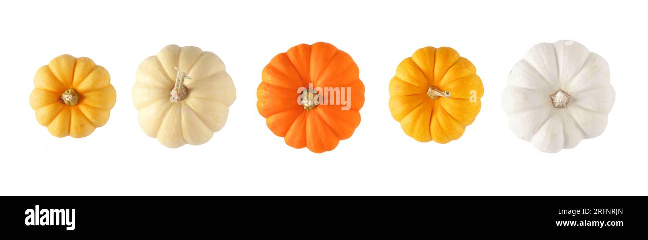 Variety of autumn pumpkins, top view isolated on a white background. Assorted shades of orange and white. Stock Photo