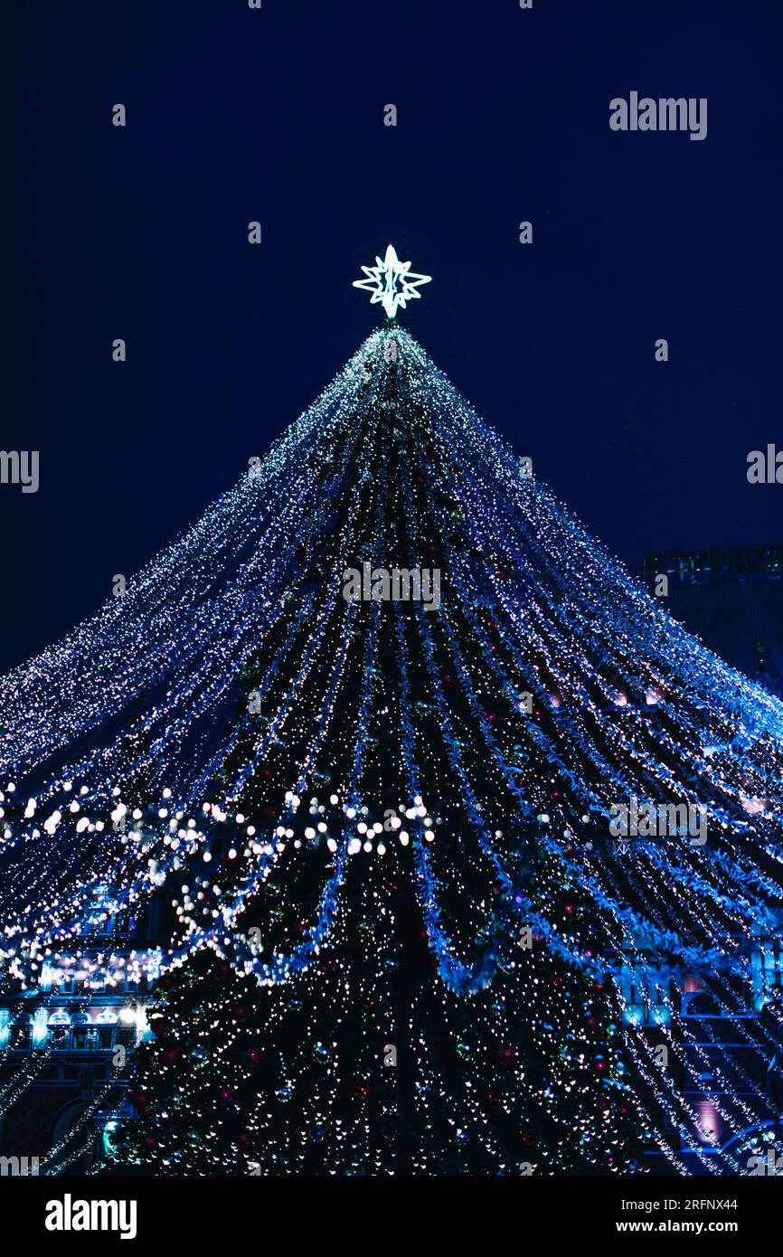 Silver blue magic twinkling bokeh lights of Christmas tree. New Year