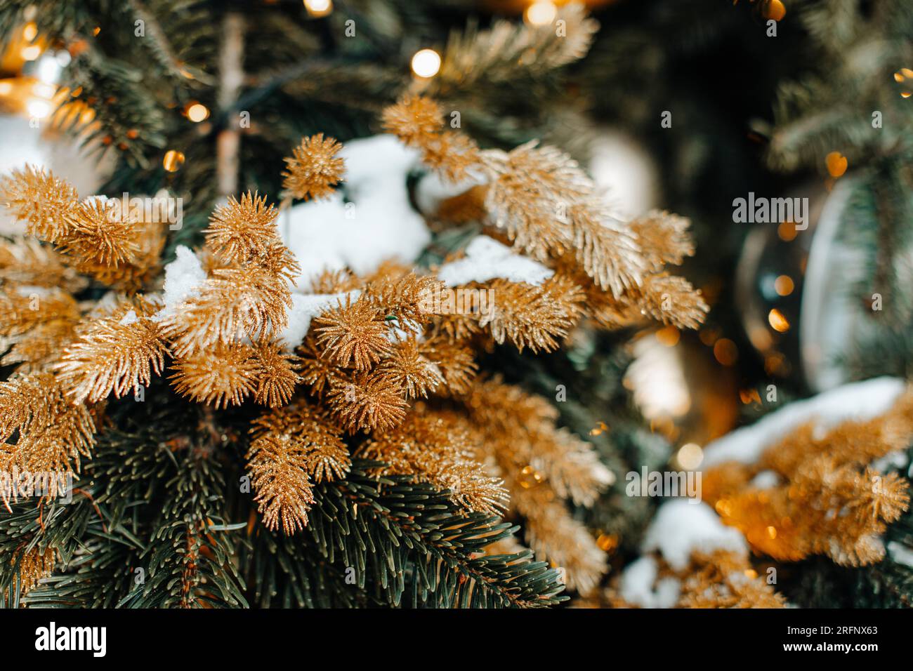 Golden fir branches covered with white snow in the winter season. New Year and Christmas atmosphere and details. Stock Photo