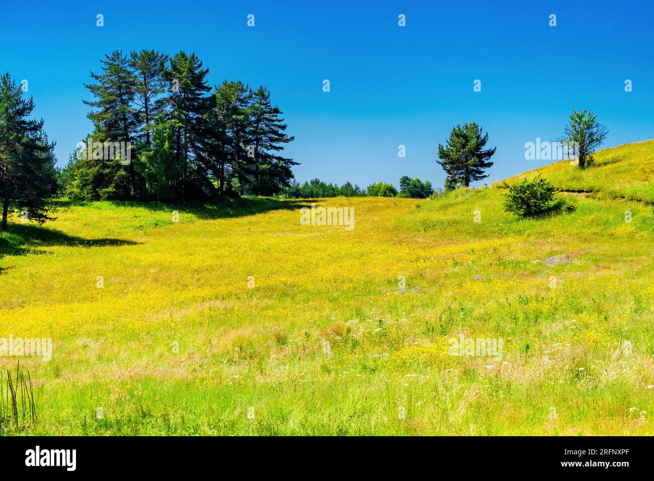 Summer landscape of green field and blue sky with clouds Stock Photo ...