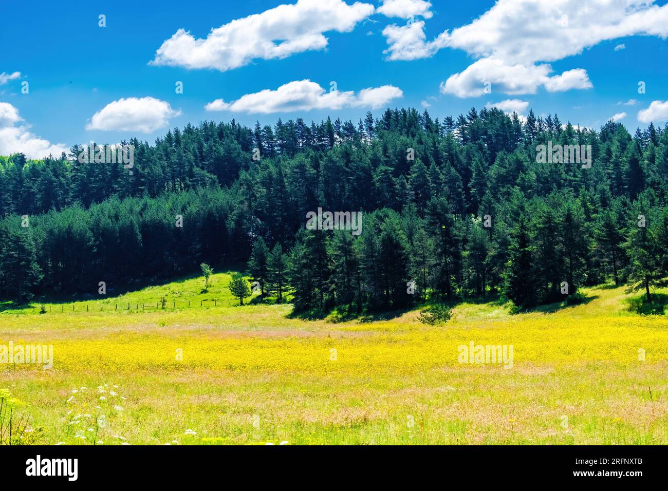 Summer landscape of green field and blue sky with clouds Stock Photo ...