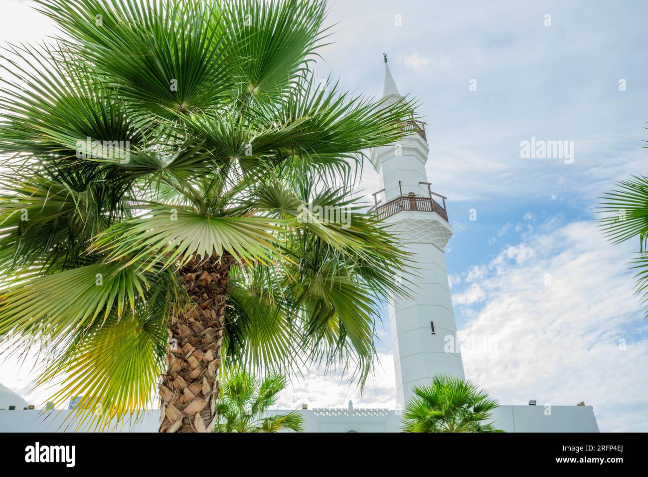 White Jaffali mosque with palms in foreground, Jeddah, Saudi Arabia Stock Photo
