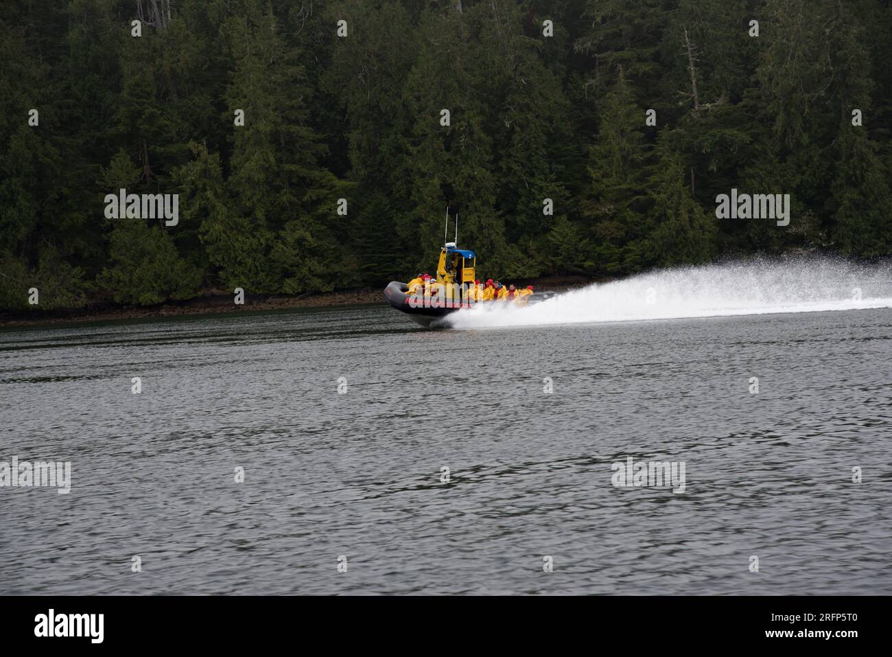 rigid inflatable boat bringing tourists from Tofino into the Clayaquot Sound at the west coast of Vancouver Island of Canada. Stock Photo