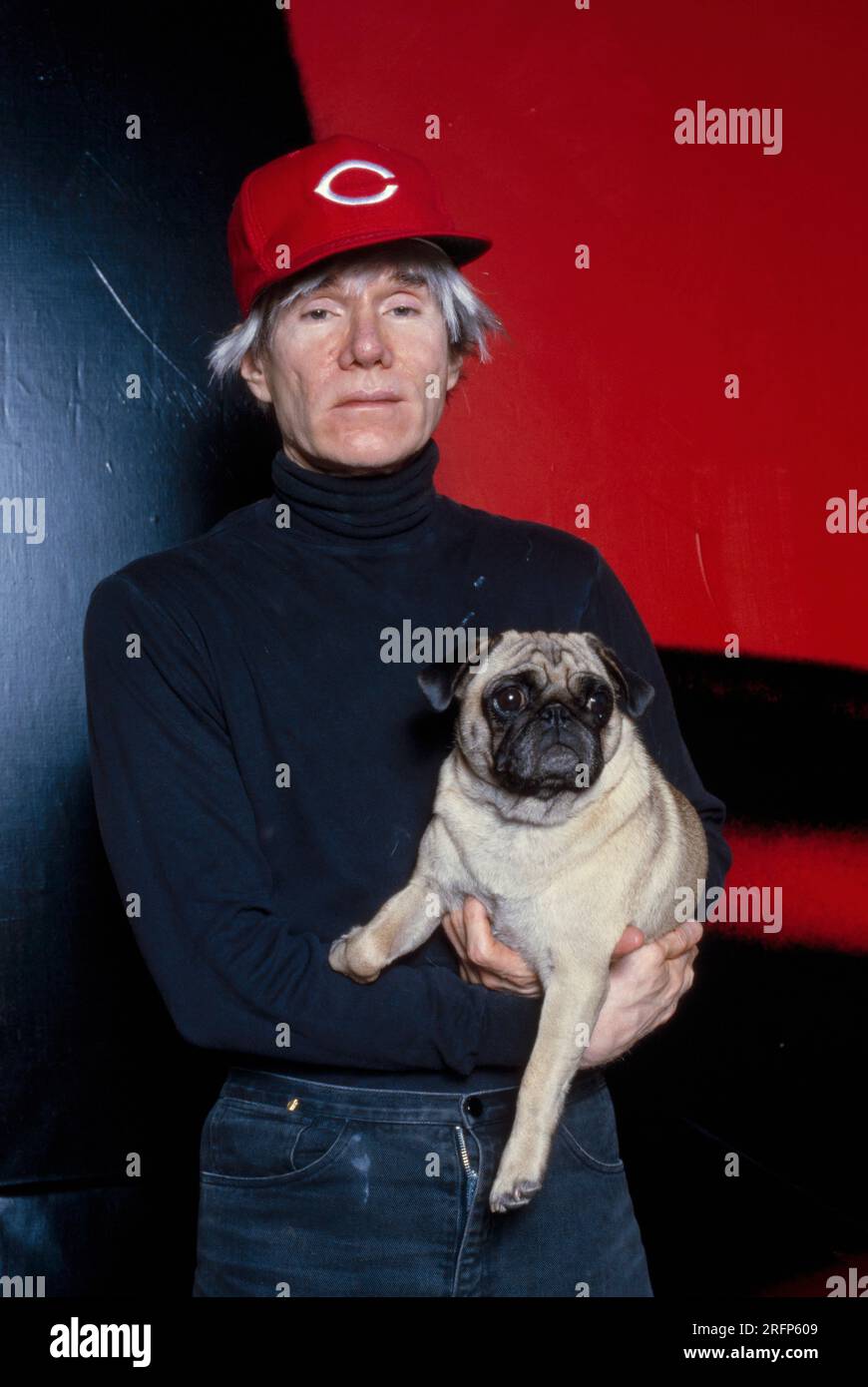 Andy Warhol poses wearing Cincinnati Reds baseball cap while holding pug breed dog in 1982. Warhol was an American visual artist, film director, producer, and leading figure in the pop art movement. His works explore the relationship between artistic expression, advertising, and celebrity culture that flourished by the 1960s, and span a variety of media, including painting, silkscreening, photography, film, and sculpture. Some of his best-known works include the silkscreen paintings Campbell's Soup Cans  and Marilyn Diptych. Photo by Bernard Gotfryd Stock Photo