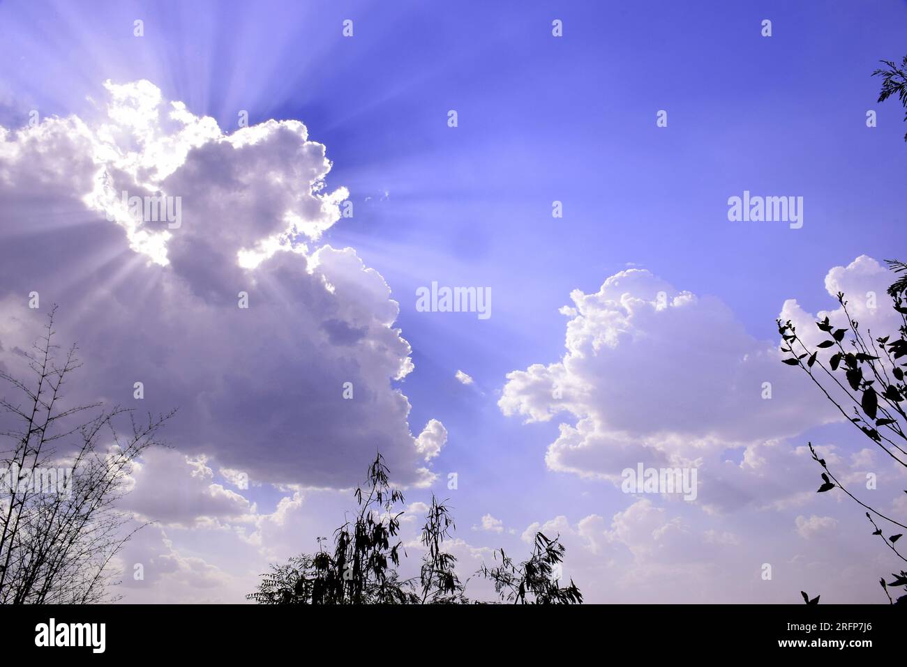 Bright light rays emanating hi-res stock photography and images - Alamy