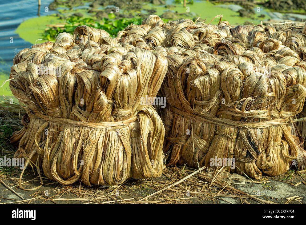 Jute fiber hires stock photography and images Alamy