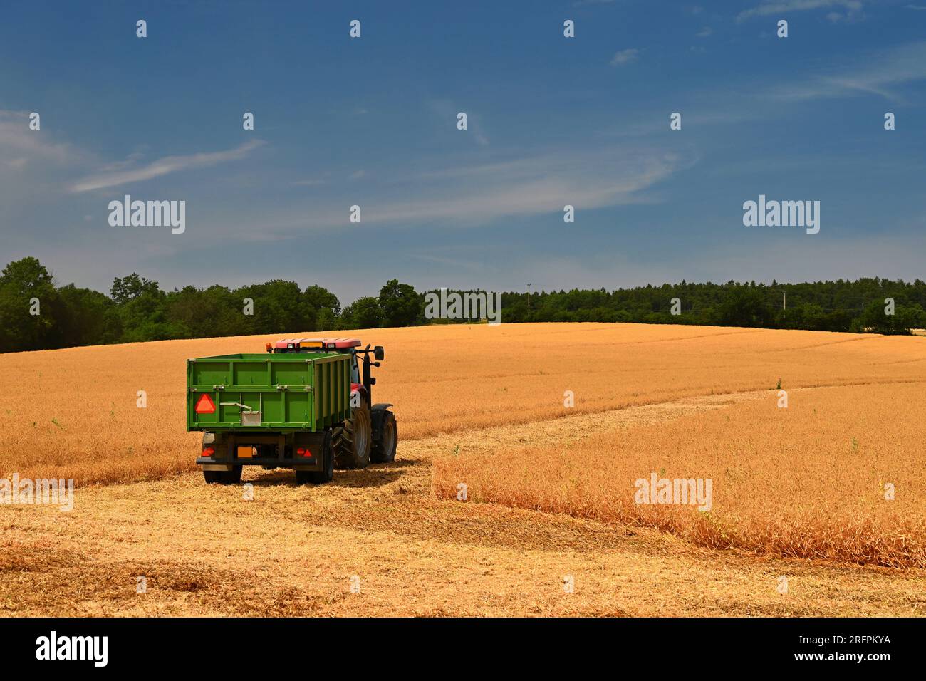 Tractor and combine harvester in the field during grain harvest. End of summer and harvest time. Concept for agriculture and industry. Landscape with Stock Photo