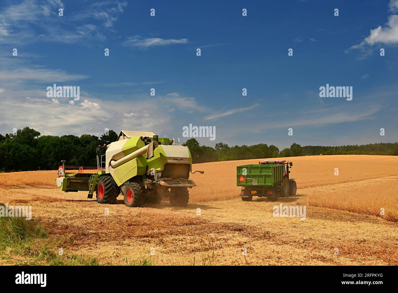 Tractor and combine harvester in the field during grain harvest. End of summer and harvest time. Concept for agriculture and industry. Landscape with Stock Photo
