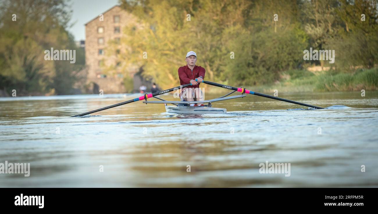Rowing on the River Stock Photo Alamy