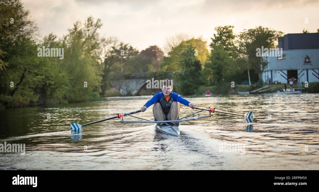 Rowing on the River Stock Photo Alamy