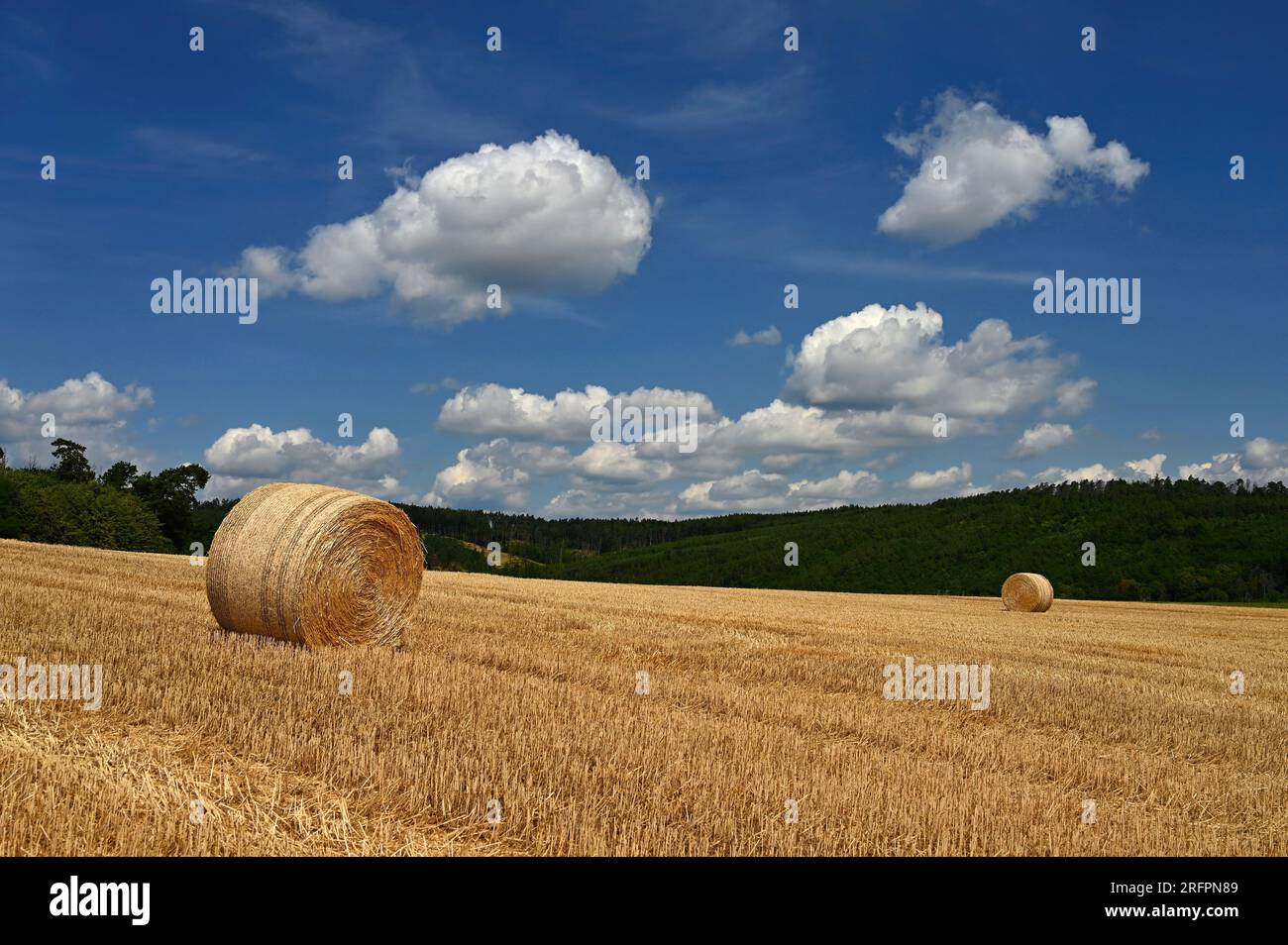 Beautiful summer landscape with haystacks - hay bales. Concept for nature, harvest time and end of summer. Stock Photo