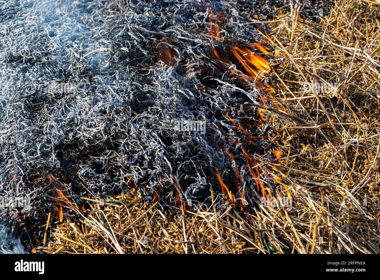 Closeup background of fire is rising from burning straw to black ash