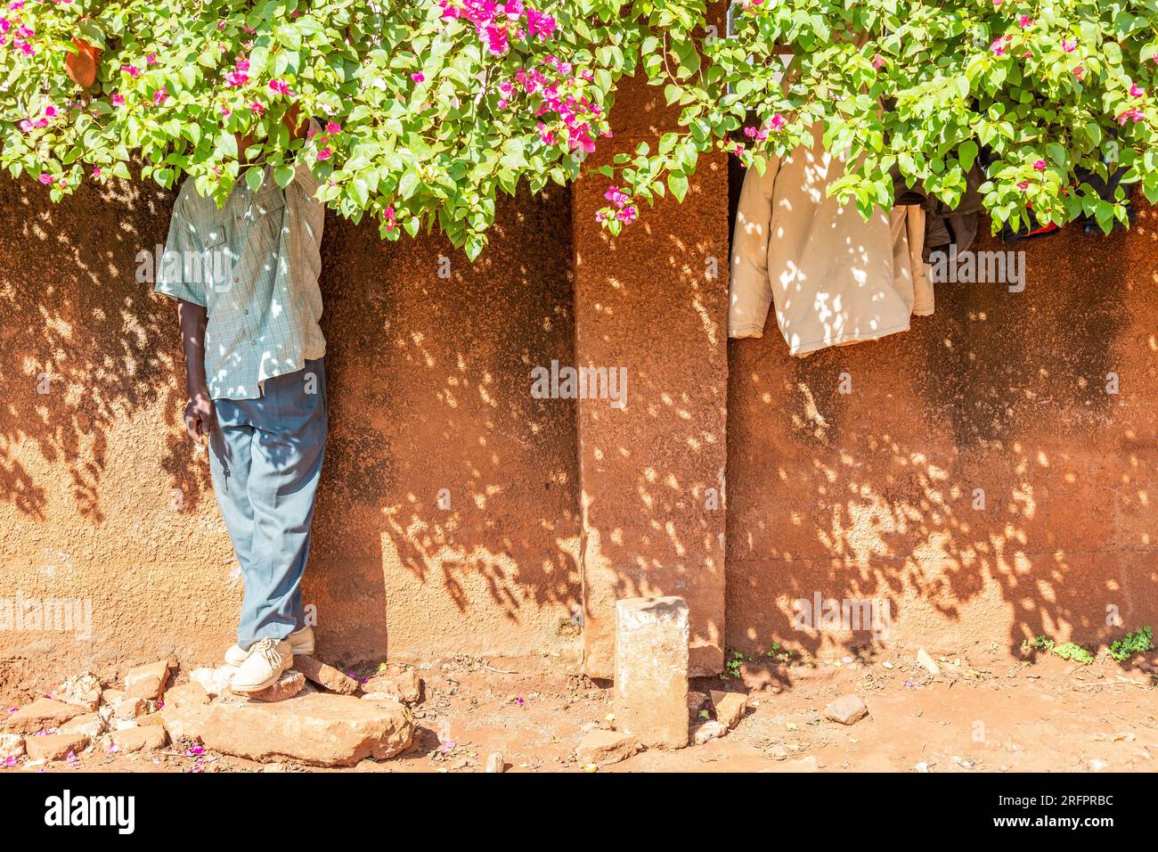 At the foot of an ocher wall, a man stands sheltered from the sun under a flowering bougainvillea. Jinja, Uganda. Stock Photo