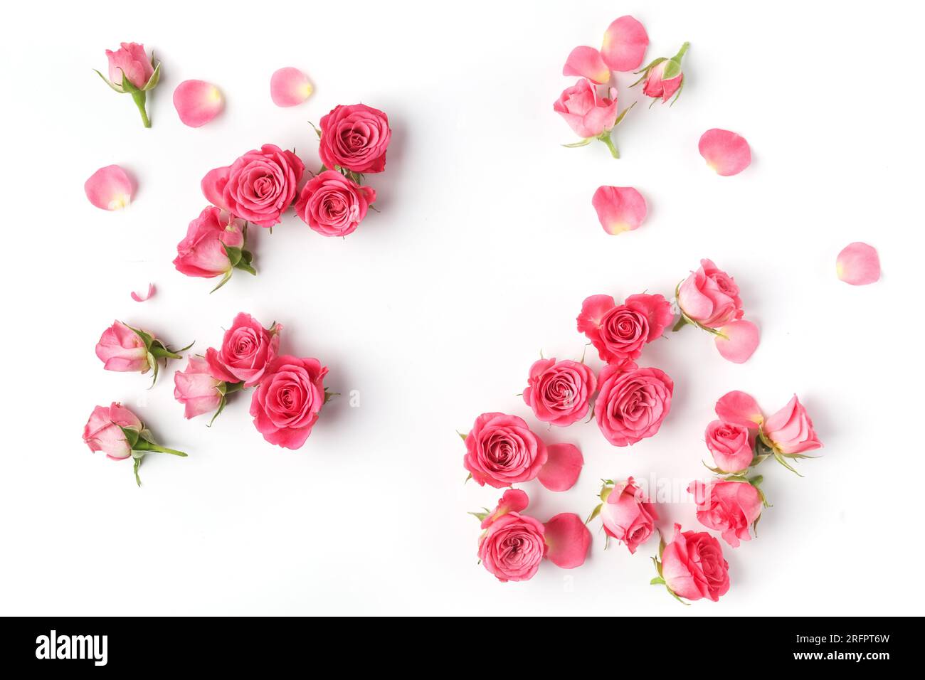 Roses and leaves top view flat lay. #rose Stock Photo - Alamy