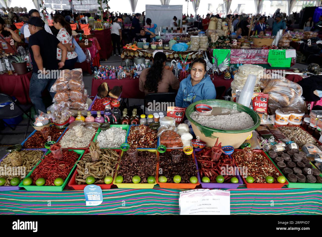 Non Exclusive August 4, 2023, Mexico City, Mexico IX Festival of