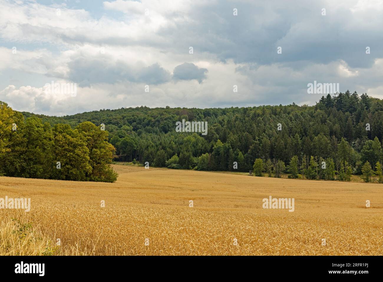 landscape in summer in thuringia near Heldburg Stock Photo