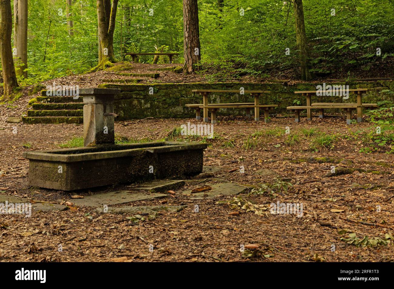 snipe fountain in a forest near Heldburg in Thuringia Stock Photo
