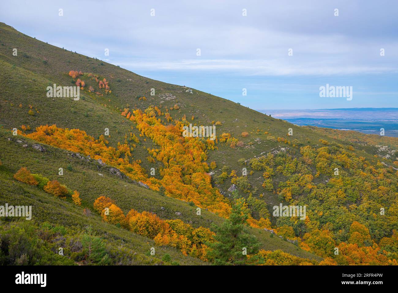 Autumn landscape. Riofrio de Riaza, Segovia province, Castilla Leon, Spain. Stock Photo