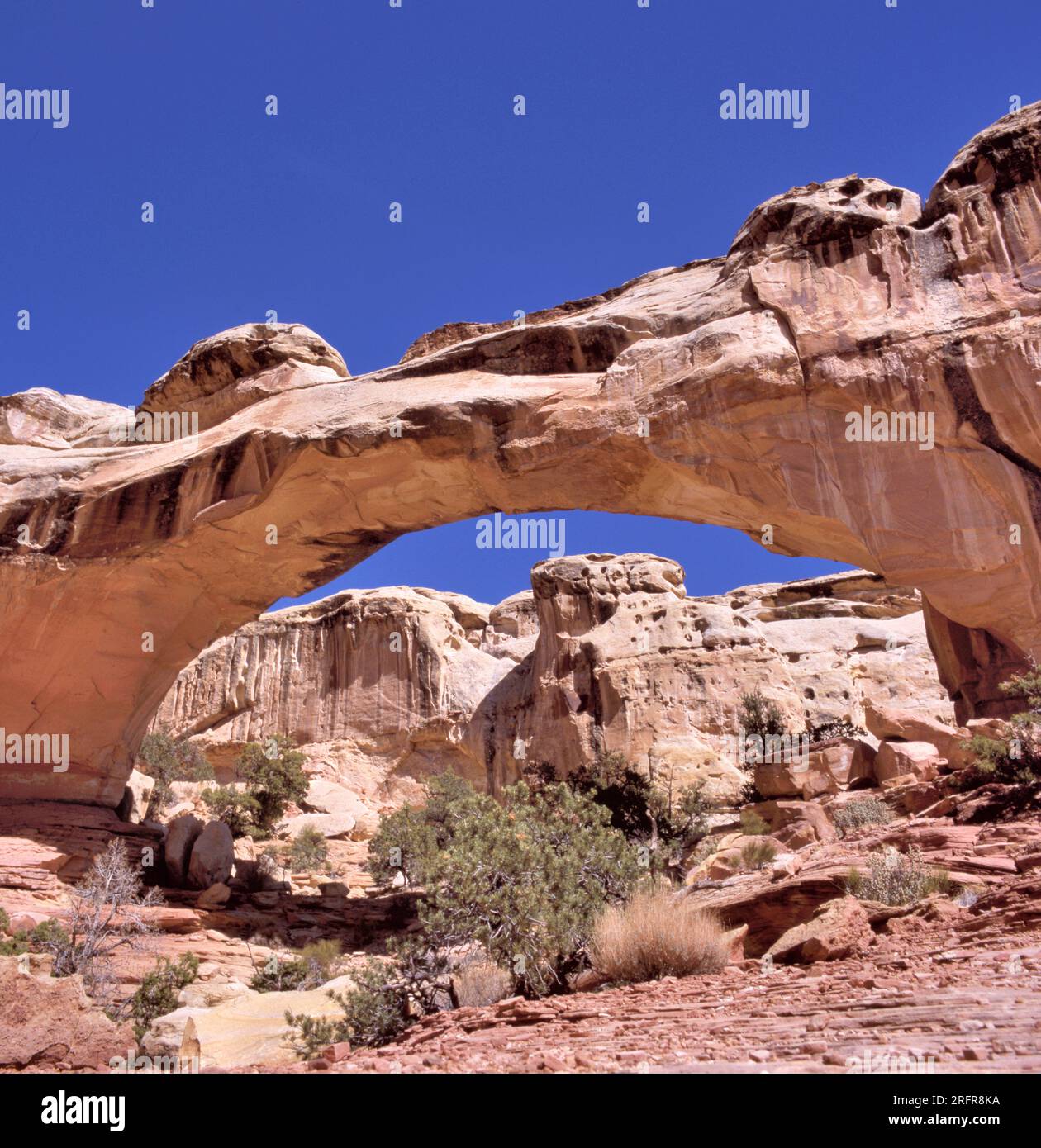Desert rock arches from Arches National Park in the US state of Utah Stock Photo