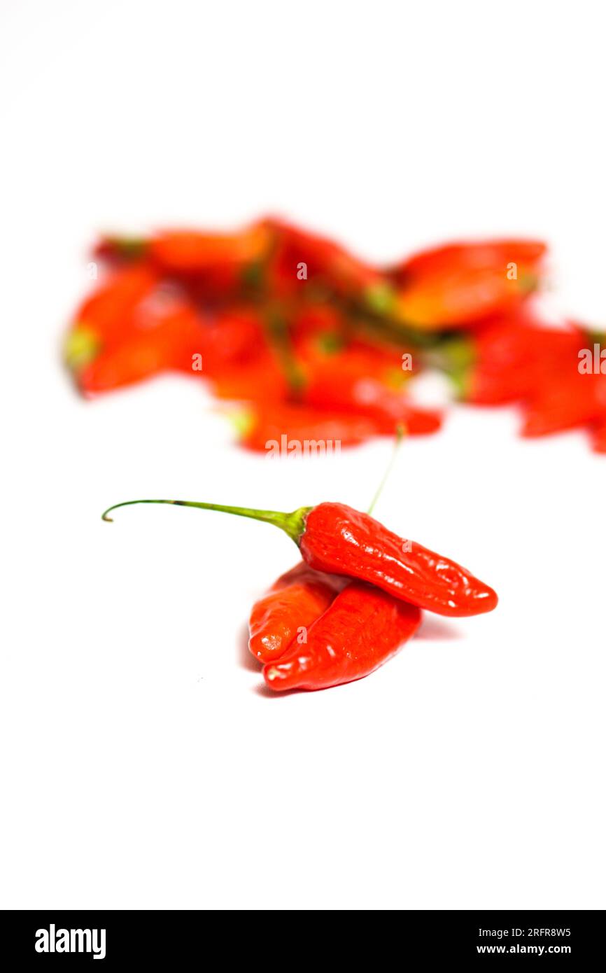 Spicy And Strong; Health Benefits Of Red Chilli Stock Photo Alamy