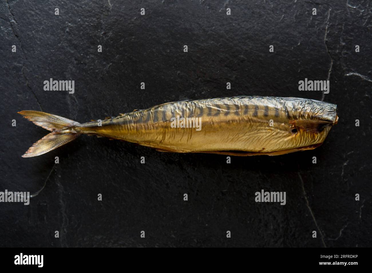 Hot smoked mackerel, Scomber scombrus, displayed on a dark slate background. England UK GB Stock Photo