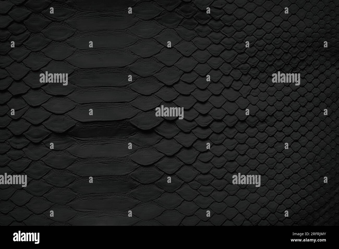 Black leather texture with empty space. snakeskin background Stock Photo